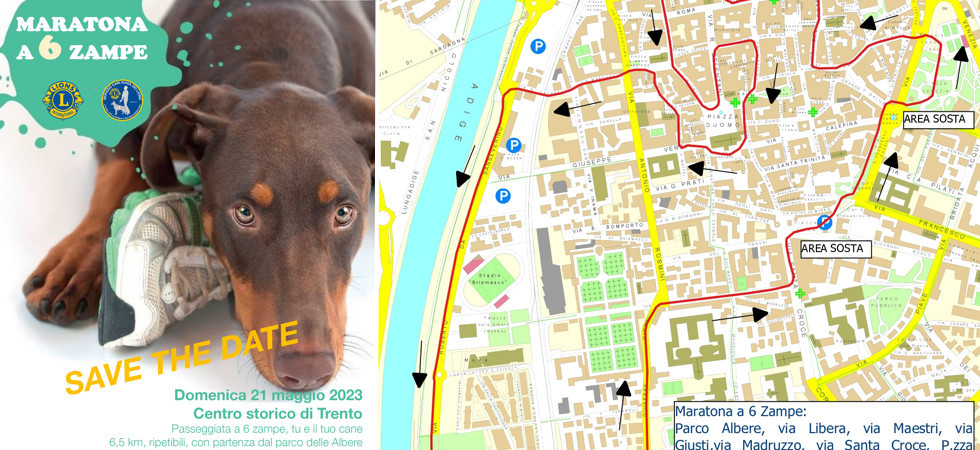 "Una maratona a 6 zampe", una corsa/camminata di 6 chilometri con i propri cani al seguito